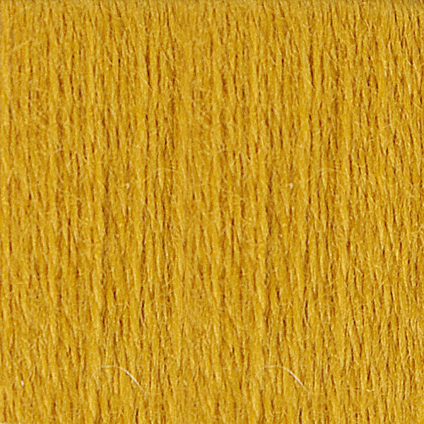 DMC 203 Eco Vita Organic Wool Thread