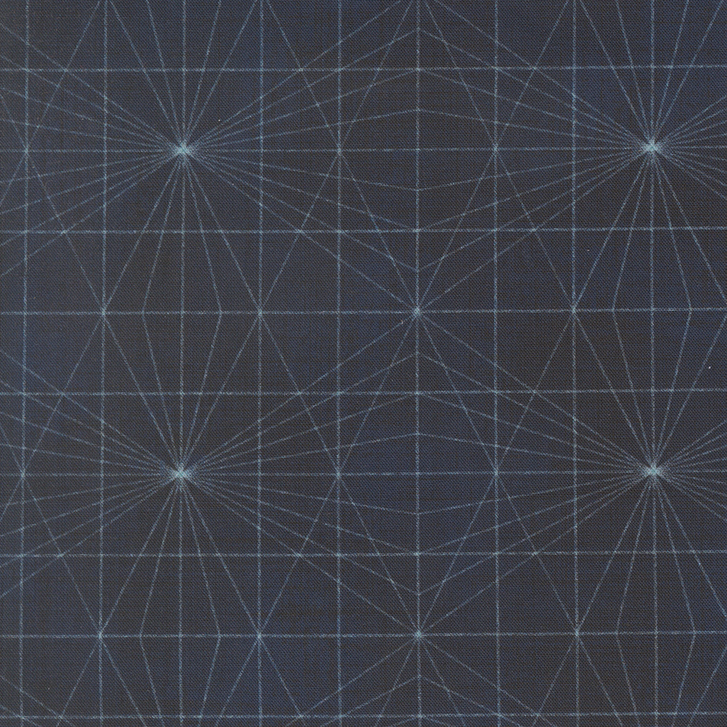 Data String Theory Hawking M2467416 by Janet Clare for Moda Fabrics (sold in 25cm increments)