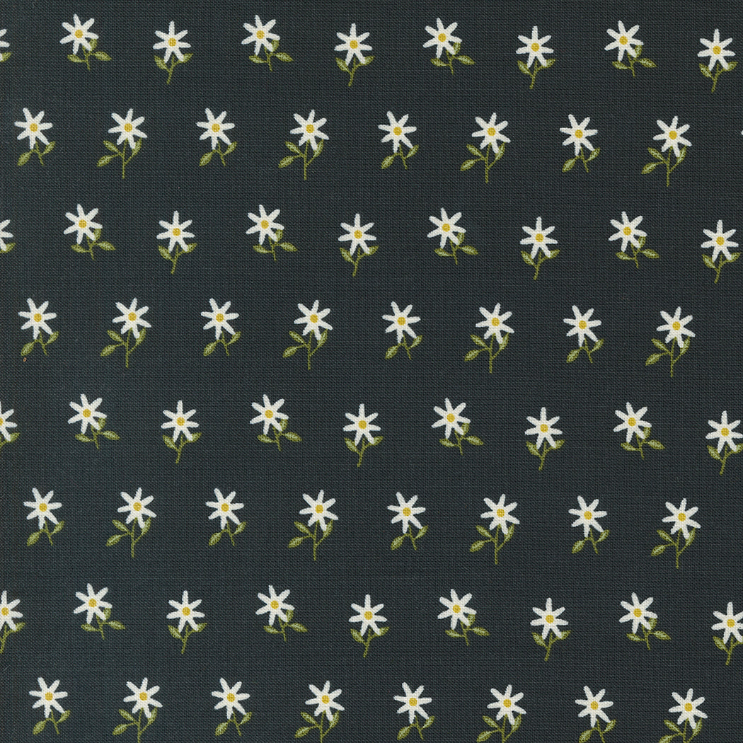 Imaginary Flowers Wispy Ebony M4838421 by Gingiber for Moda fabrics (sold in 25 increments)