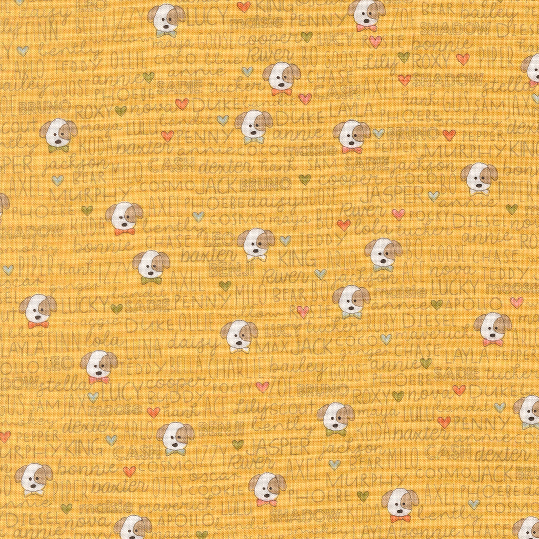 Lucky Buddies Sun M5570214 by Sweetwater for Moda Fabrics (sold in 25cm increments)
