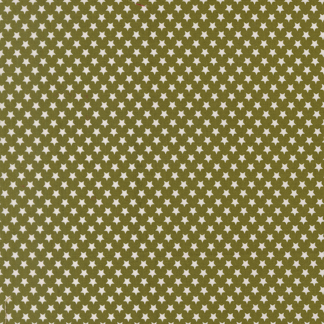 Chilly Star Bright Pine M5571423 by Sweetwater for Moda Fabrics (sold in 25cm increments)