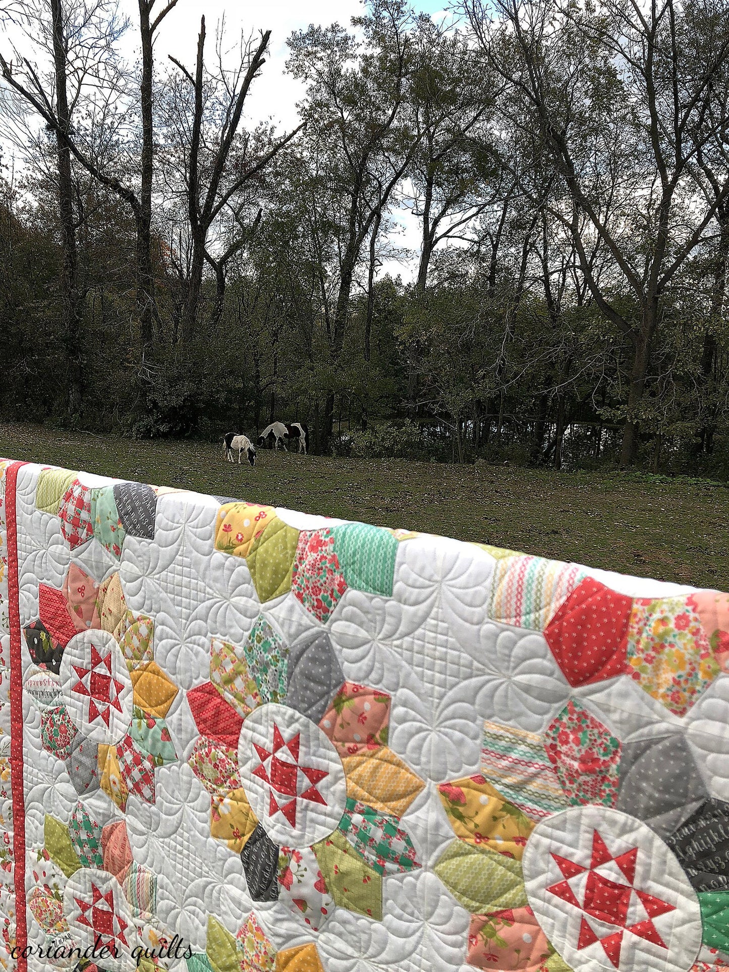 Plain and Fancy Quilt Pattern by Corey Yoder of Coriander Quilts