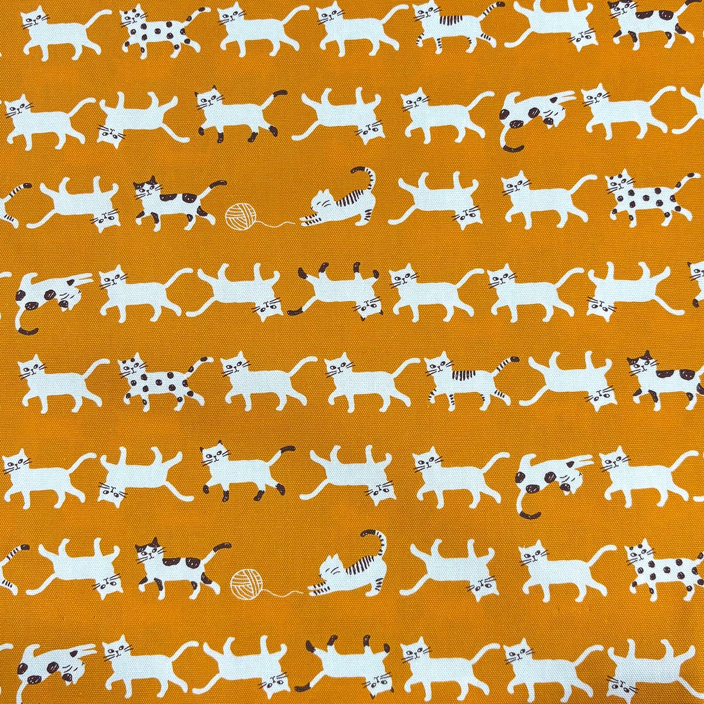 Simply Palette Cat Orange by Kokka Fabrics (sold in 25cm increments)