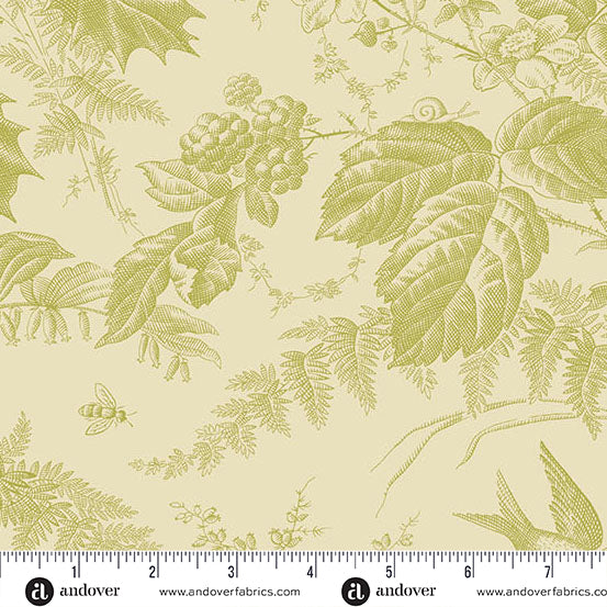 Vermont Peapod A10285LV by Laundry Basket Quilts for Andover Fabrics