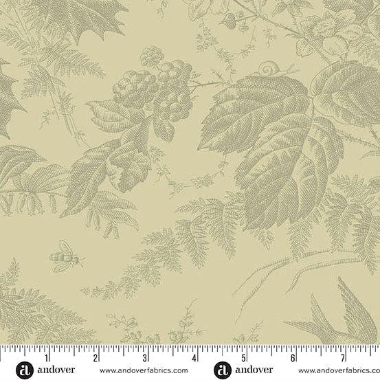 Vermont Limestone A10285N4 by Laundry Basket Quilts for Andover Fabrics