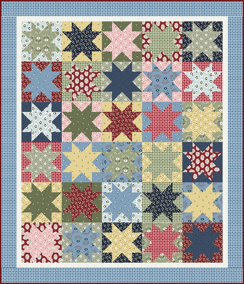 Wildflowers Daisy Check Blue 3677-77 by Gail Pan for Henry Glass Fabrics (sold in 25cm increments)