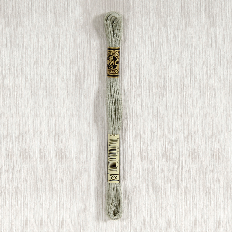 DMC 524 Very Light Fern Green 6 Strand Embroidery Floss