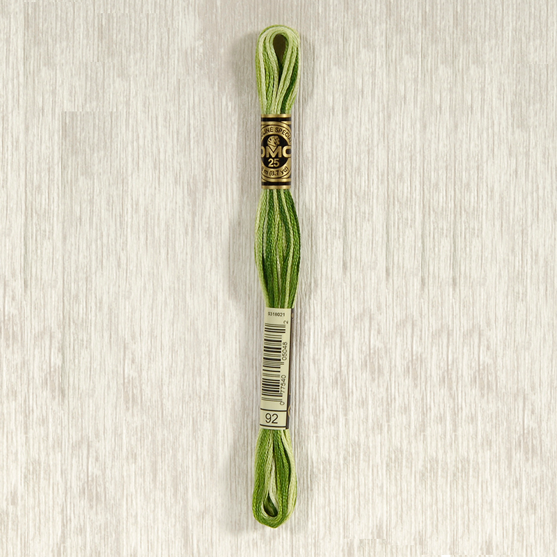 DMC 92 Variegated Avocado 6 Strand Embroidery Floss