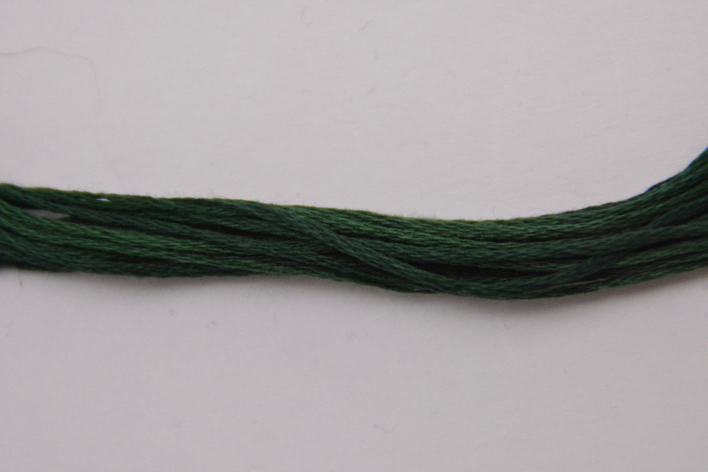 Holly 1279 Weeks Dye Works 6-Strand Hand-Dyed Embroidery Floss