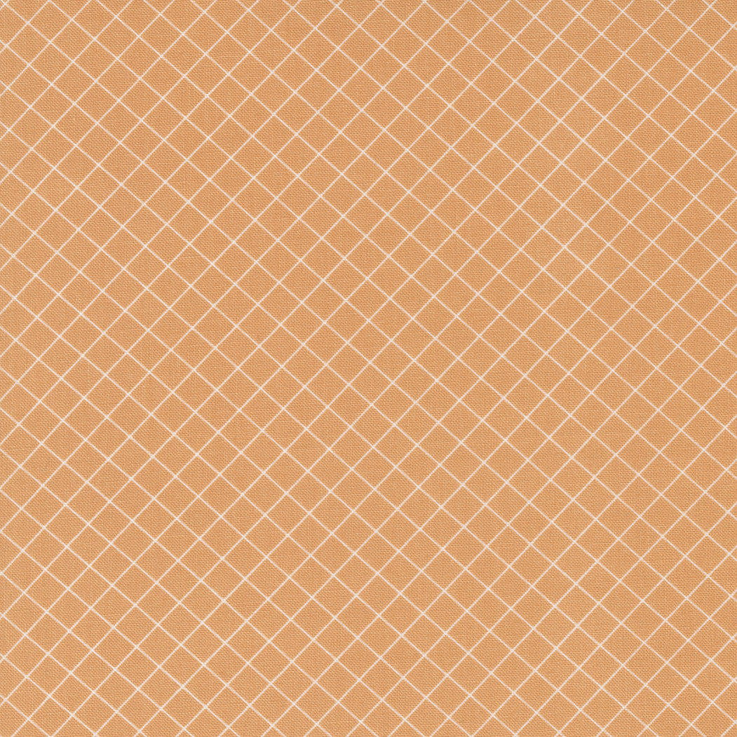 Sunnyside Graph Apricot M5528318 by Camille Roskelley for Moda fabrics- (sold in 25cm increments)