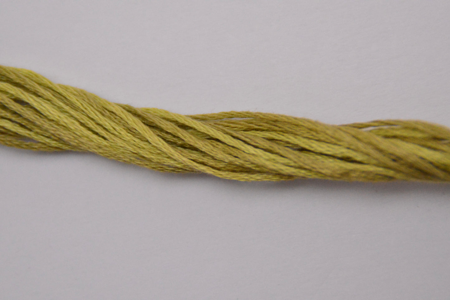 Broom Tree 1194 Weeks Dye Works 6-Strand Hand-Dyed Embroidery Floss