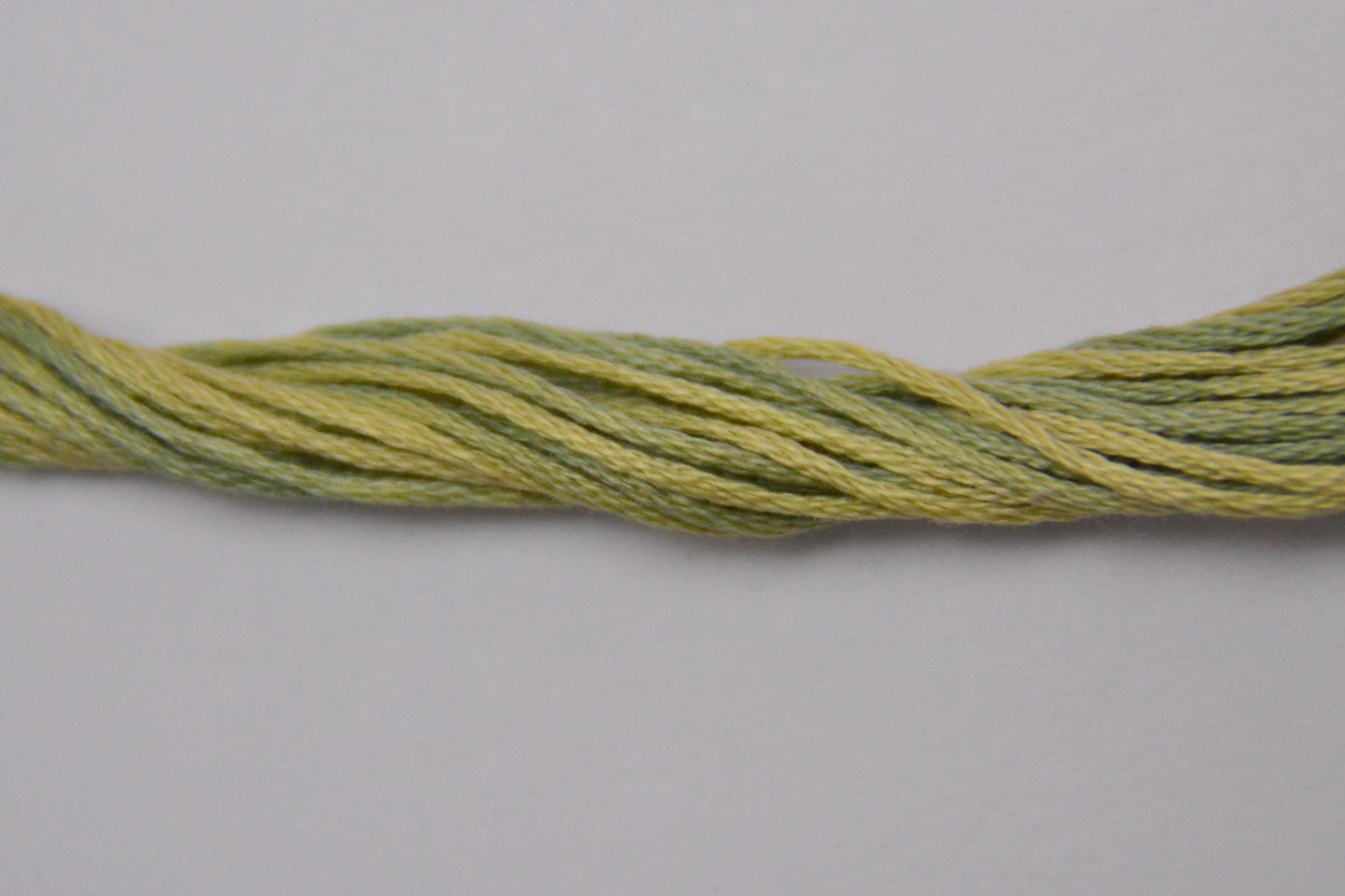 Artichoke 1183 Weeks Dye Works 6-Strand Hand-Dyed Embroidery Floss