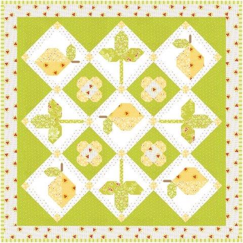 Fruit Salad Quilt Pattern Book by Fig Tree Quilts