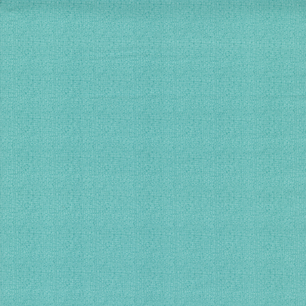 Thatched 108" Wide back Seafoam 11174125 by Robin Pickens for Moda Fabrics (Sold in 25cm increments)