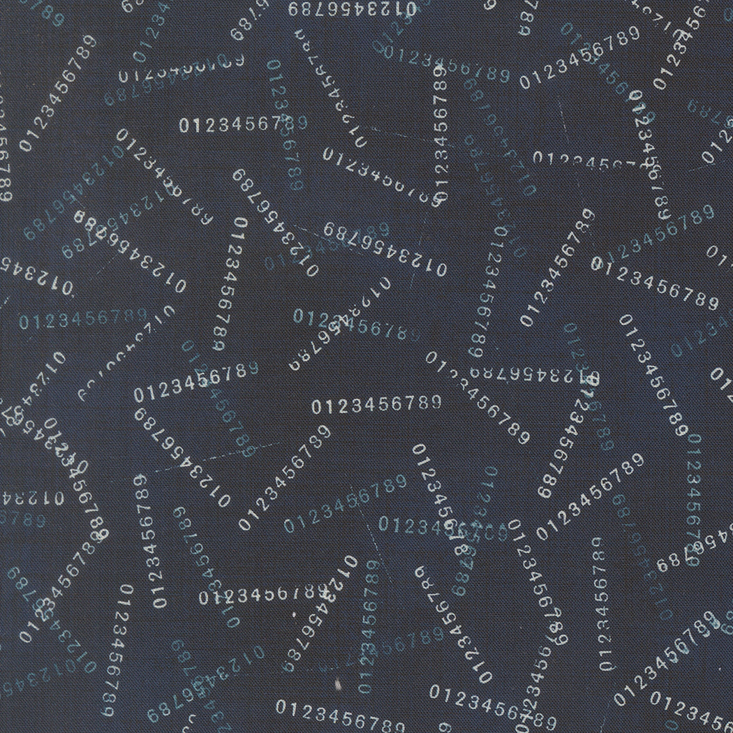 Data Digits Hawking M2467215 by Janet Clare for Moda Fabrics (sold in 25cm increments)