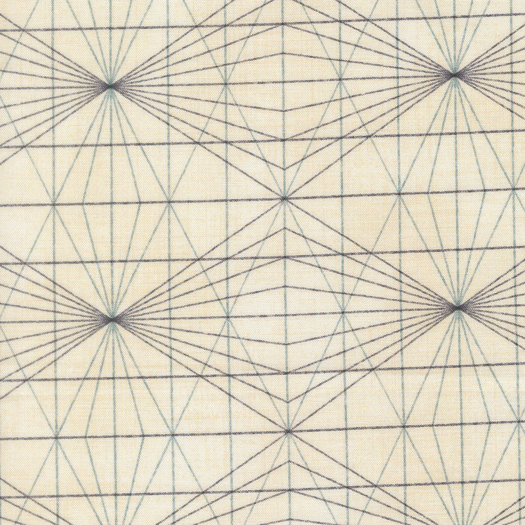Data String Theory Lovelace M2467412 by Janet Clare for Moda Fabrics (sold in 25cm increments)