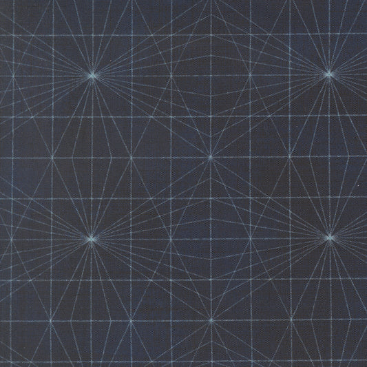 Data String Theory Hawking M2467416 by Janet Clare for Moda Fabrics (sold in 25cm increments)