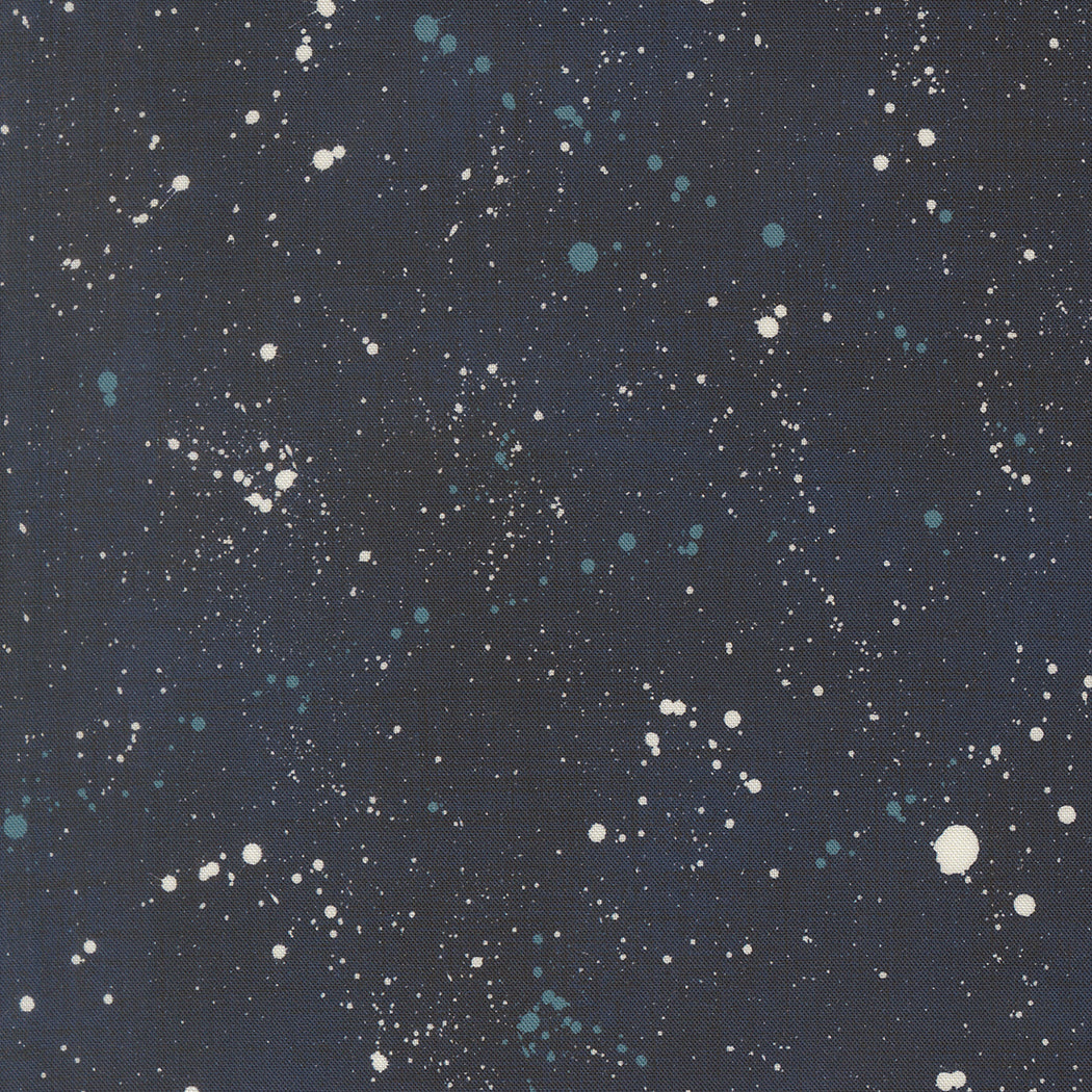 Data Space Hawkings M2467715 by Janet Clare for Moda Fabrics (sold in 25cm increments)