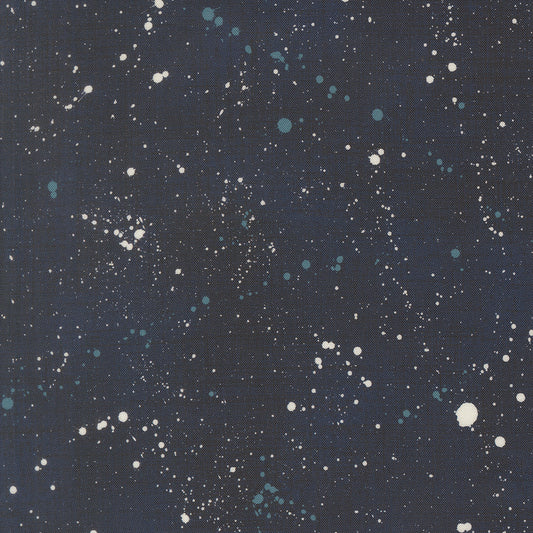 Data Space Hawkings M2467715 by Janet Clare for Moda Fabrics (sold in 25cm increments)