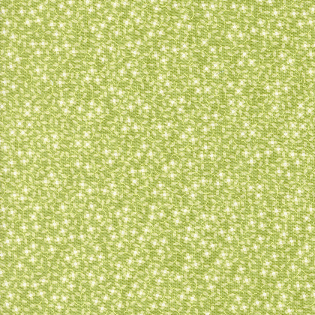 Cali & Co Pistachio Ditsy Daisy M2919337 by Coriander Quilts for Moda Fabrics (sold in 25cm increments)