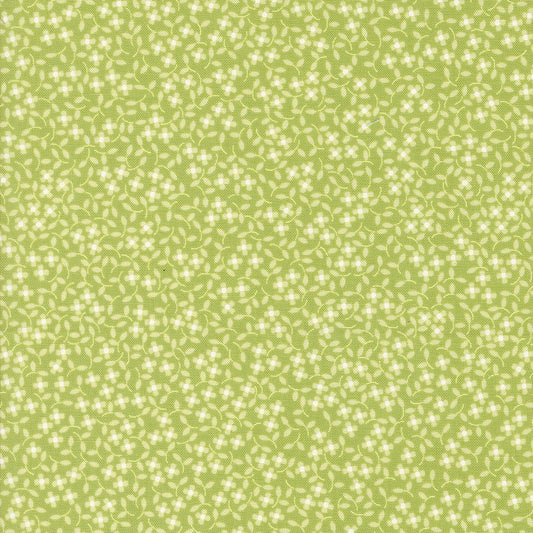 Cali & Co Pistachio Ditsy Daisy M2919337 by Coriander Quilts for Moda Fabrics (sold in 25cm increments)