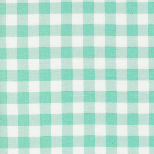 Coriander Colors Aqua Check M2920117 by Corey Yoder for Moda Fabrics (sold in 25cm increments)