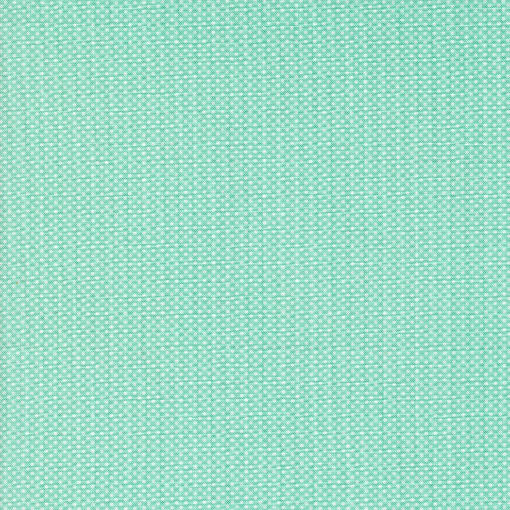 Coriander Colors Aqua Tiny Dots M2920527 by Corey Yoder for Moda Fabrics (sold in 25cm increments)