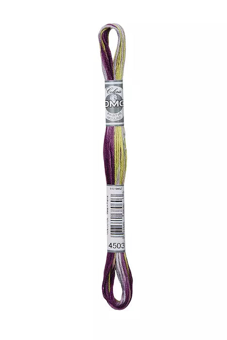 DMC 4503 Mouline Coloris Red Grape 6 Strand Embroidery Floss