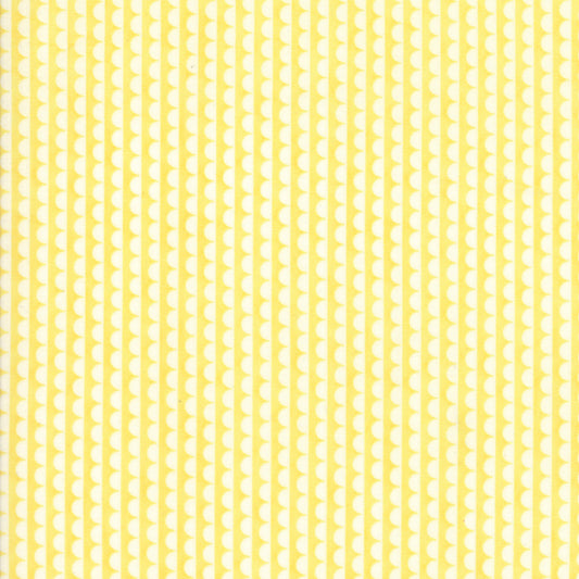 Scallop Basic Yellow and White by Bonnie and Camille (sold in 25cm increments)