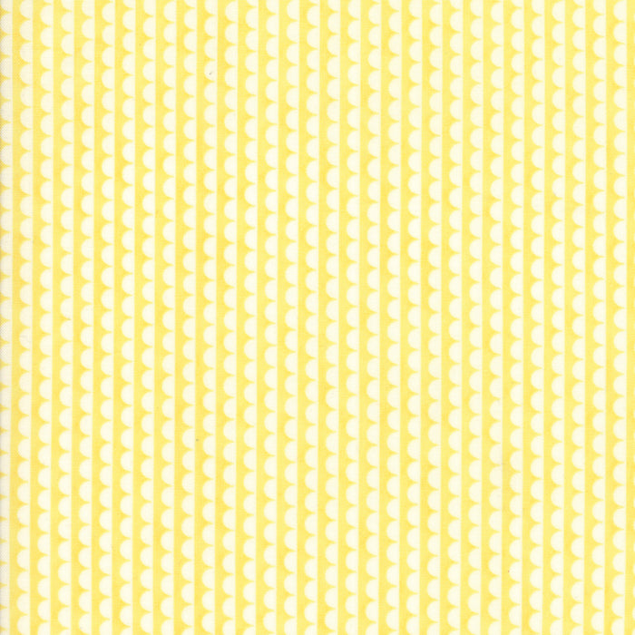 Scallop Basic Yellow and White by Bonnie and Camille (sold in 25cm increments)