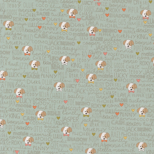 Lucky Buddies Sky M5570212 by Sweetwater for Moda Fabrics (sold in 25cm increments)