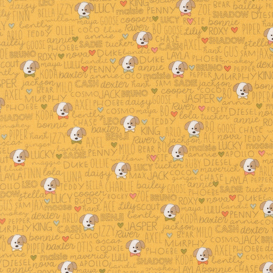 Lucky Buddies Sun M5570214 by Sweetwater for Moda Fabrics (sold in 25cm increments)