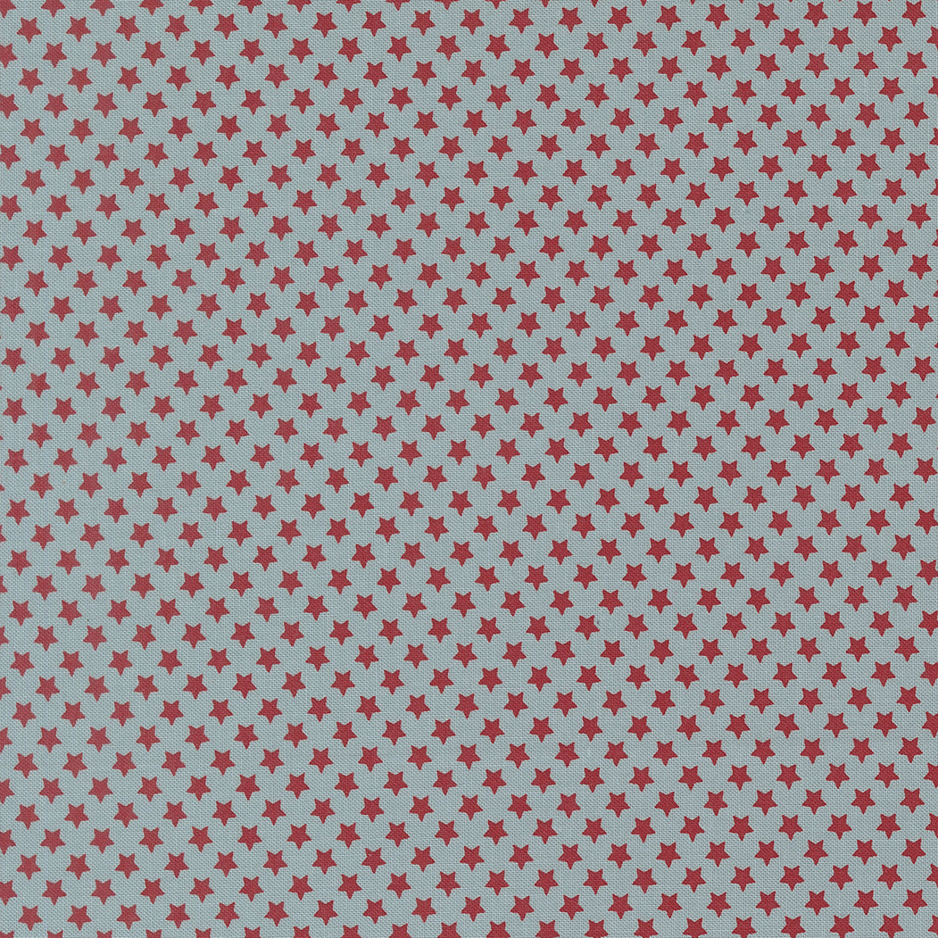 Chilly Star Bright Storm M5571425 by Sweetwater for Moda Fabrics (sold in 25cm increments)