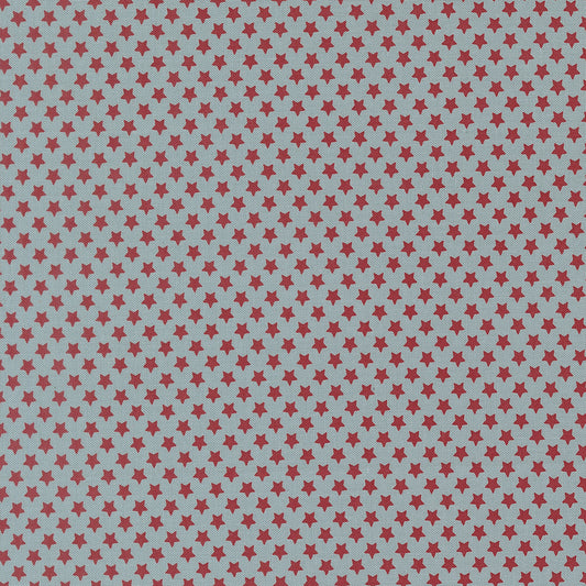 Chilly Star Bright Storm M5571425 by Sweetwater for Moda Fabrics (sold in 25cm increments)