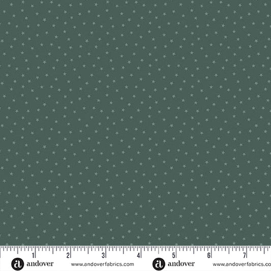 Twinkle Succulent A1234G2 by Laundry Basket Quilt for Andover Fabrics (sold in 25cm increments)