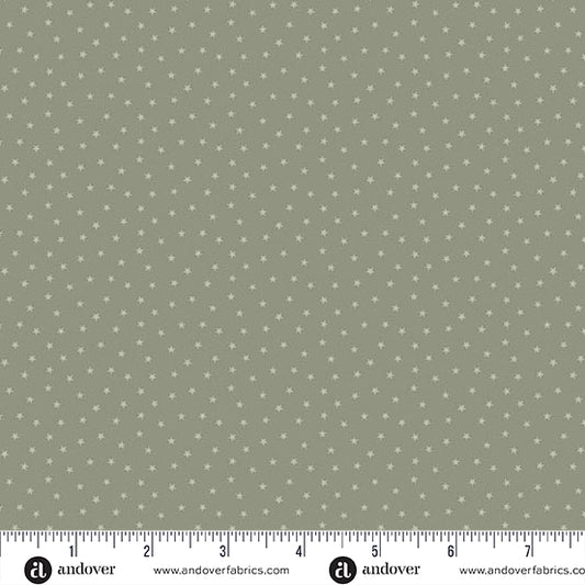 Twinkle Stone A1234LC by Laundry Basket Quilt for Andover Fabrics (sold in 25cm increments)