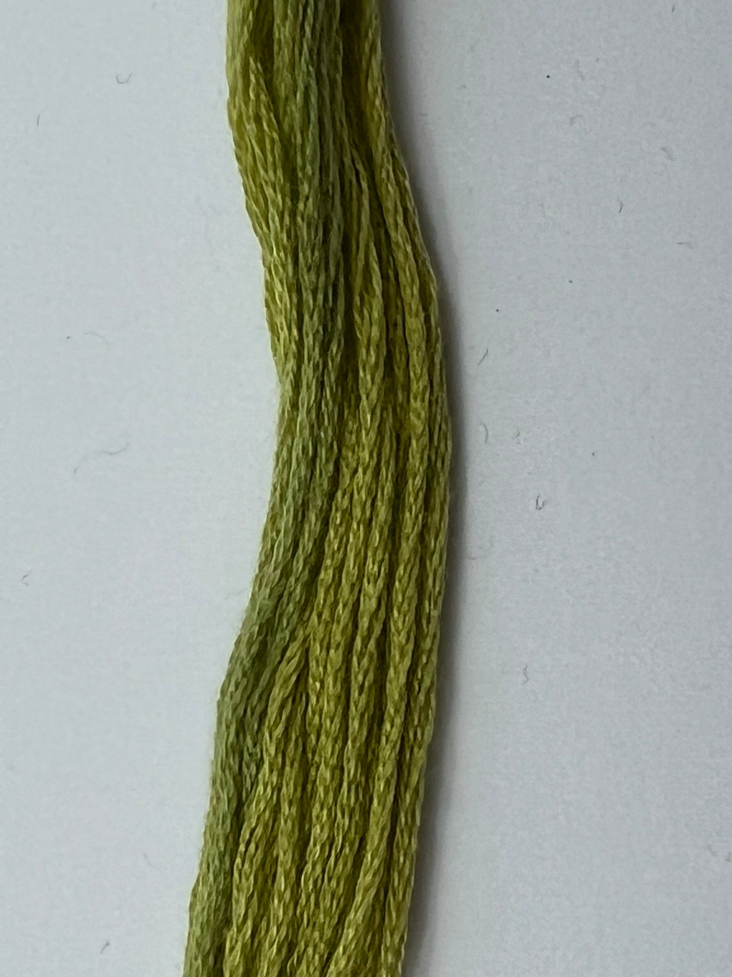 Avocado 0130 The Gentle Art Sampler Thread 6 Stranded Hand Dyed Embroidery Floss