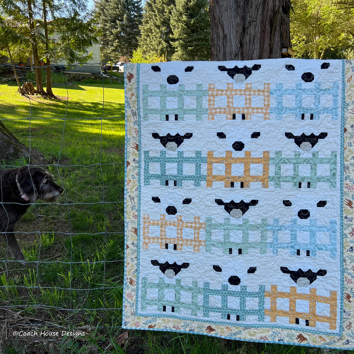 Baaa Quilt Pattern by Coach House Designs