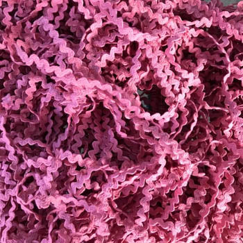 Barn Door Rick Rack 7/32" by Lady Dot Creates