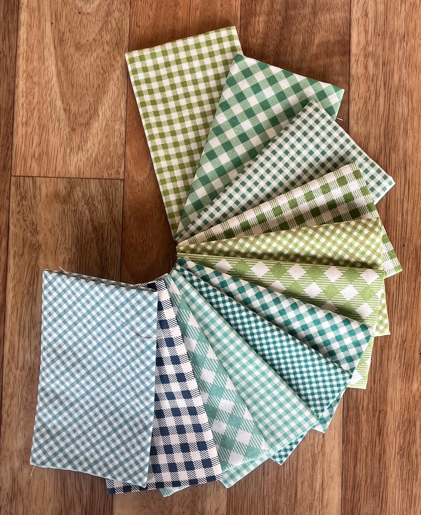 Bee Ginghams Cool Colours Fat Eighth Bundle Lori Holt for Riley Blake Design