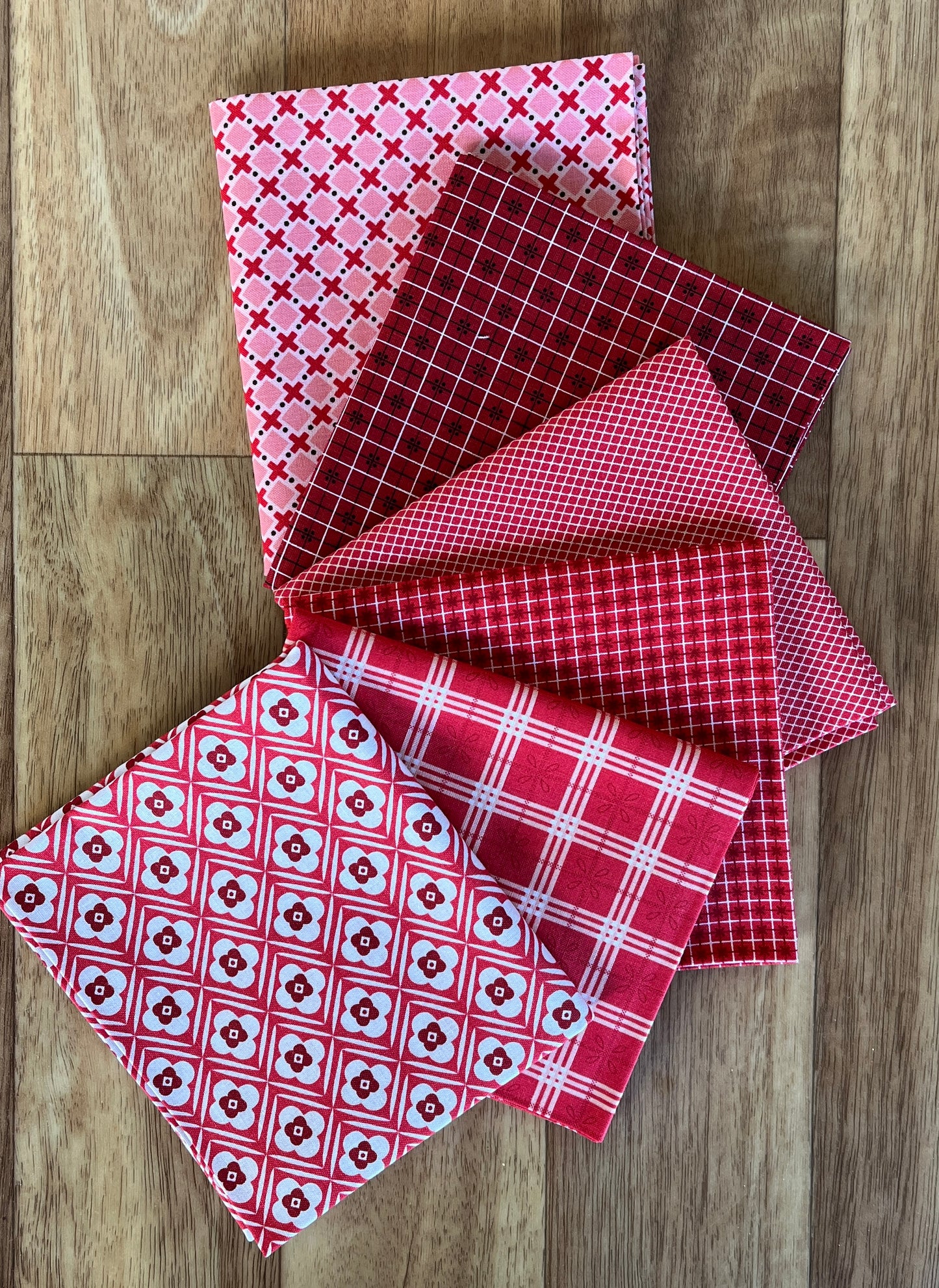 Bee Plaids Reds Fat Quarter Bundle by Lori Holt for Riley Blake