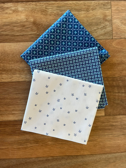 Bee Plaids - Blues Fat Quarter Bundle by Lori Holt for Riley Blake