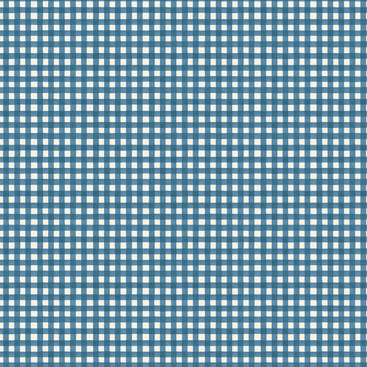 Signature Collection Gingham C18375-Navy by Cath Kidston for Riley Blake Fabrics (sold in 25cm increments)