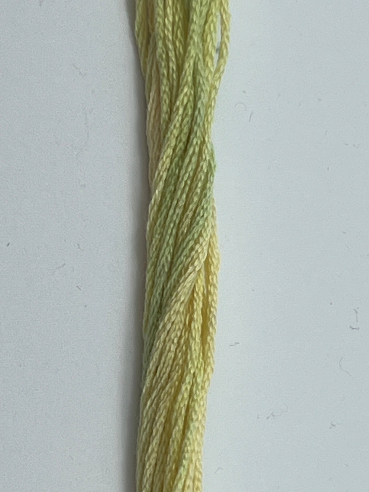 Celery 0170 The Gentle Art Sampler Thread 6 Stranded Hand Dyed Embroidery Floss