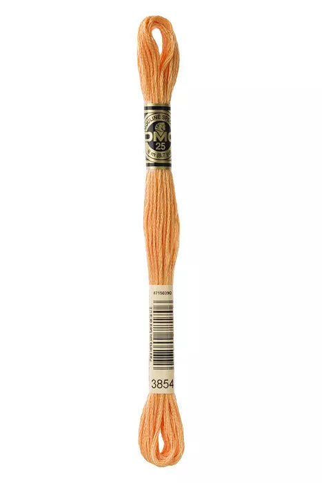 DMC 3854 Chai Spice 6 Strand Embroidery Floss