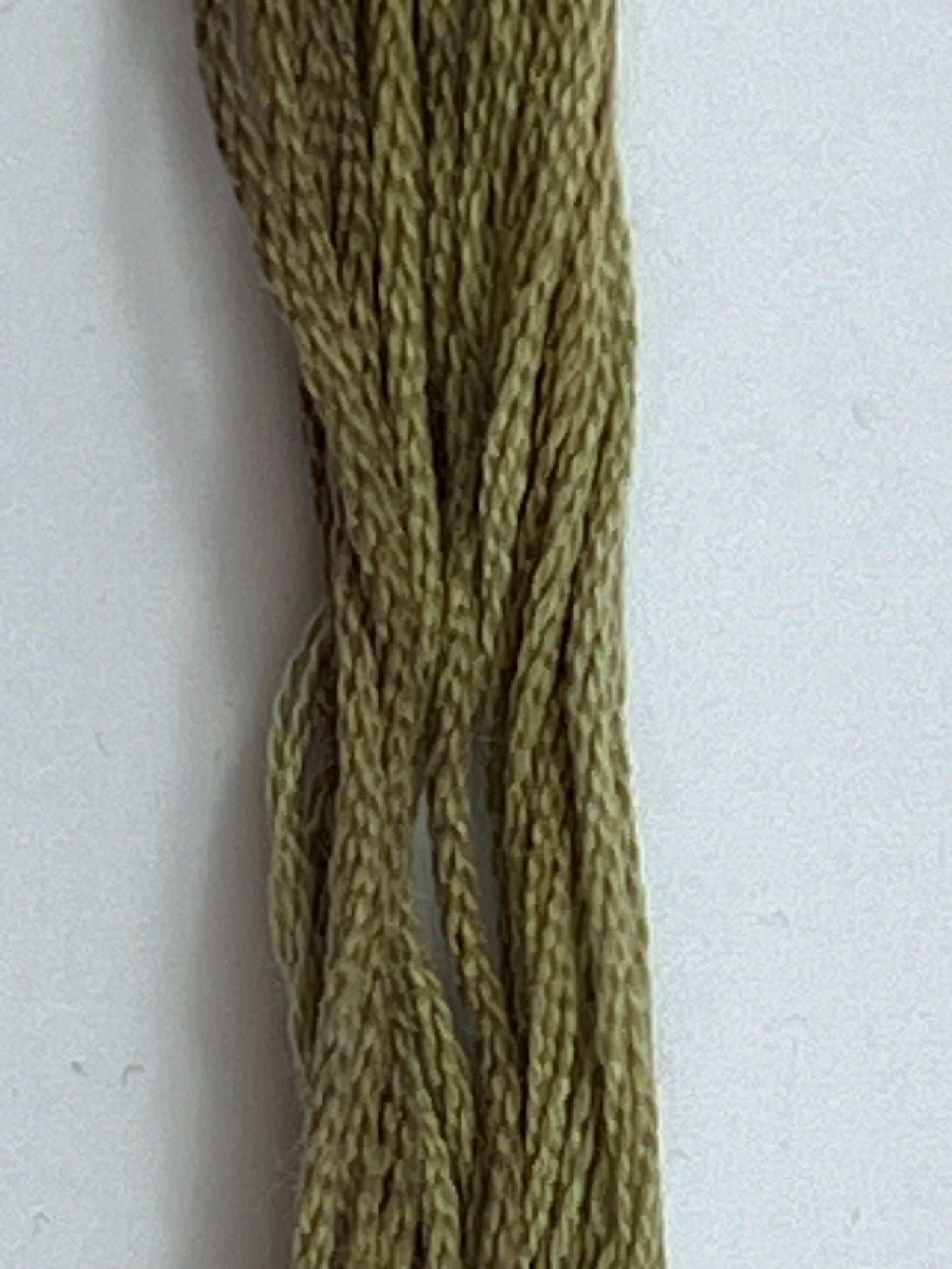 Green Tea Leaf 0195 The Gentle Art Sampler Thread 6 Stranded Hand Dyed Embroidery Floss