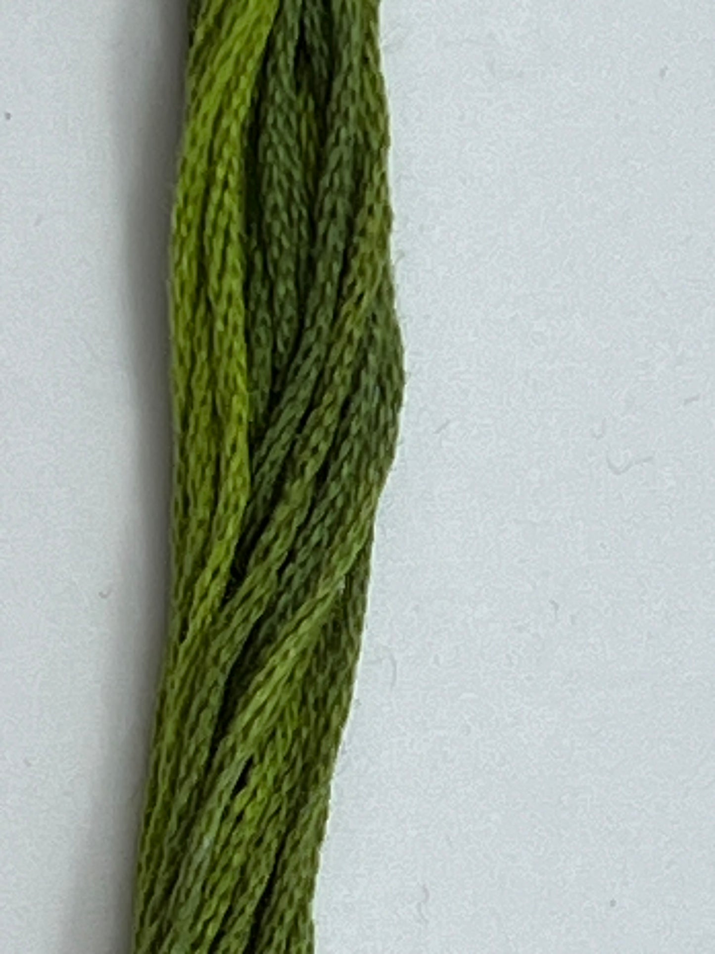 Green With Envy 0196 The Gentle Art Sampler Thread 6 Stranded Hand Dyed Embroidery Floss