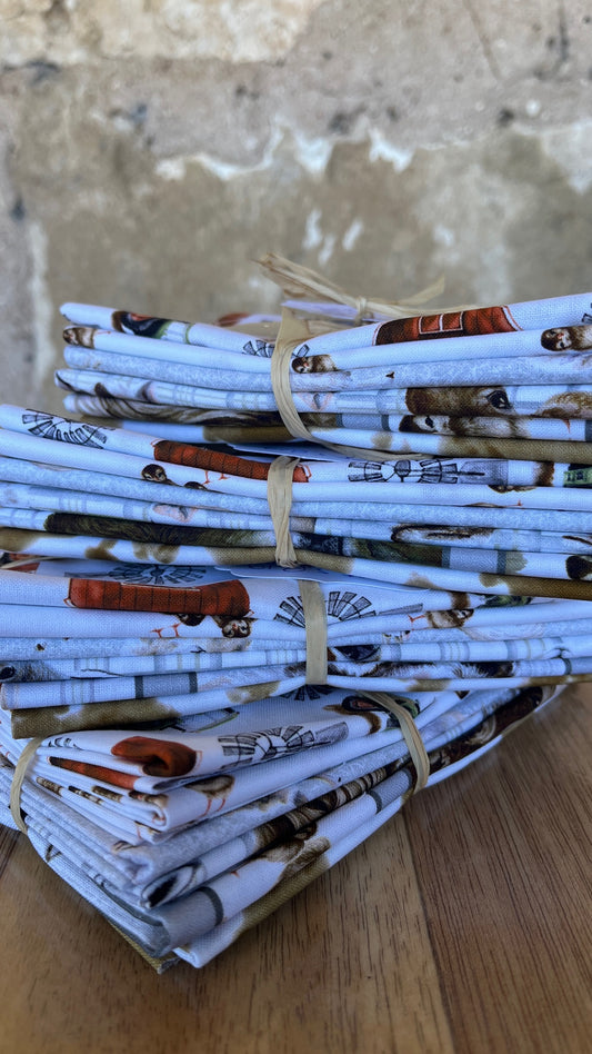 Little Seedlings Farm Fat Eighth Bundle by Moque Lee Studio for Blank Quilting