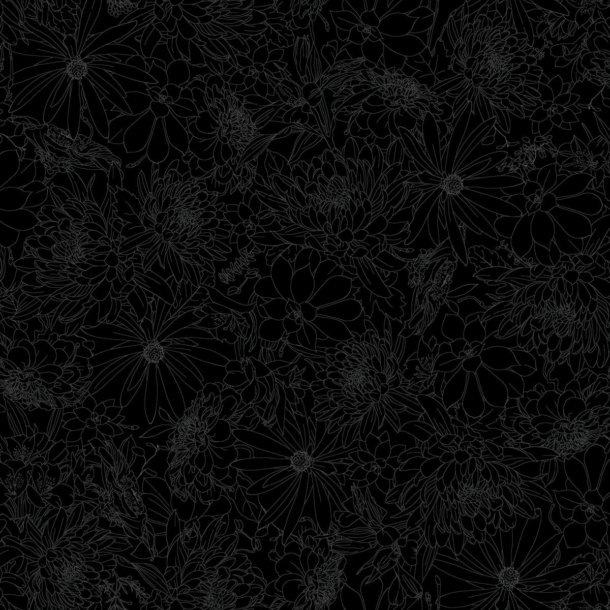 Solitaire Blossom Black MAS328-J by Maywood Studio (sold in 25cm increments)