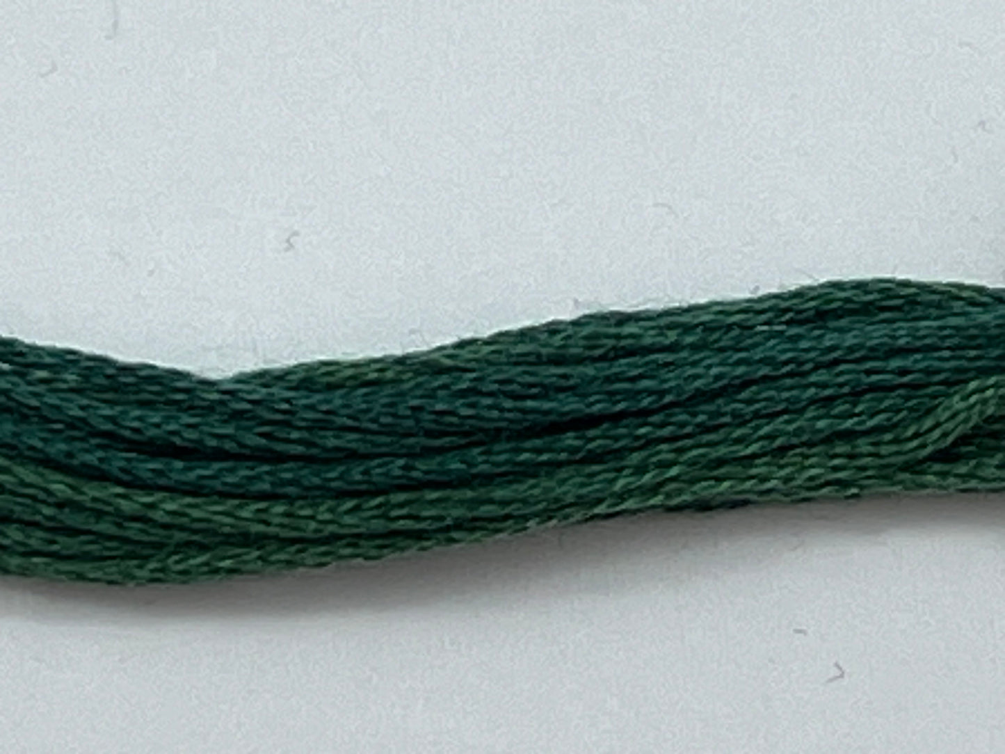 Pine 0120 The Gentle Art Sampler Thread 6 Stranded Hand Dyed Embroidery Floss